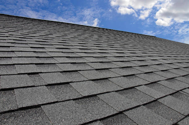 Professional Roofing Services in Marina Del Rey, CA